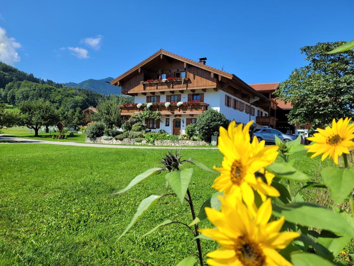 Ferienwohnung Hoderhof Grassau  Exterior foto