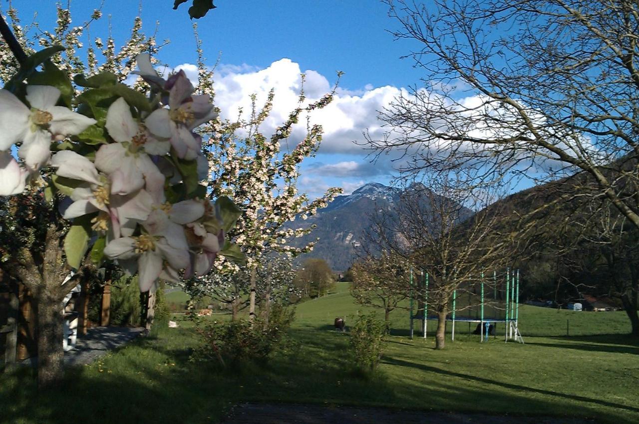 Ferienwohnung Hoderhof Grassau  Exterior foto